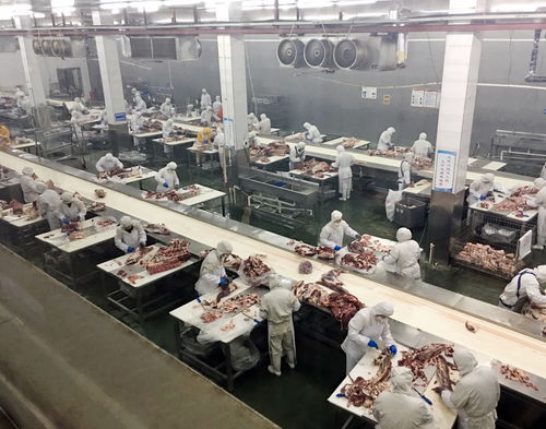 重慶農(nóng)商行 強(qiáng)化銀電合作，以電力大數(shù)據(jù)賦能企業(yè)復(fù)工復(fù)產(chǎn)——市場調(diào)研分析