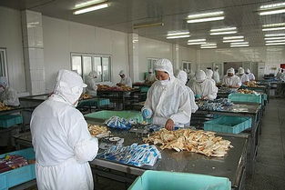 永泰縣水產(chǎn)生產(chǎn)主體調(diào)查摸底工作順利開展，助力市場精準(zhǔn)調(diào)研