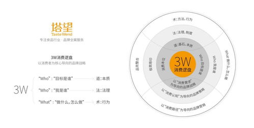 塔望核心業(yè)務(wù)介紹 食品品牌咨詢、品牌策劃與健康咨詢服務(wù)的專業(yè)體系